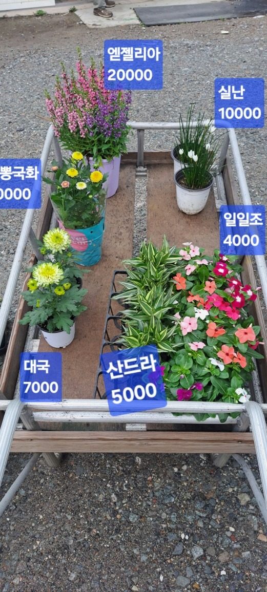 안녕하세요.?