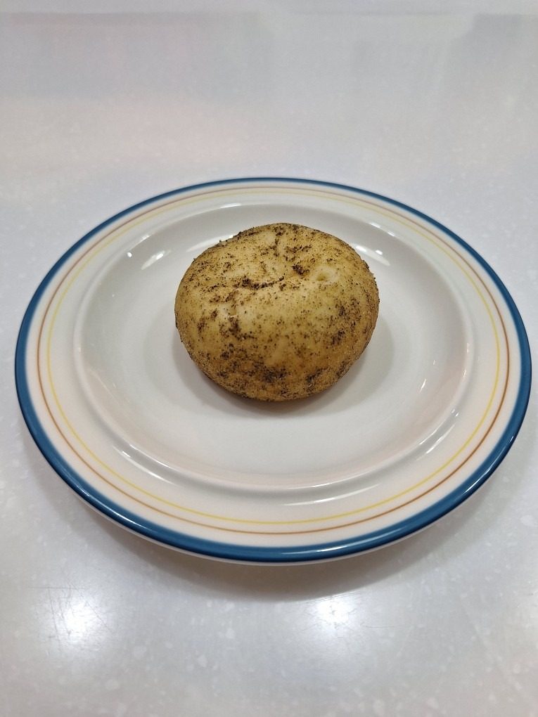 쫀득한 🍠 🥔 빵 드시러 오세요