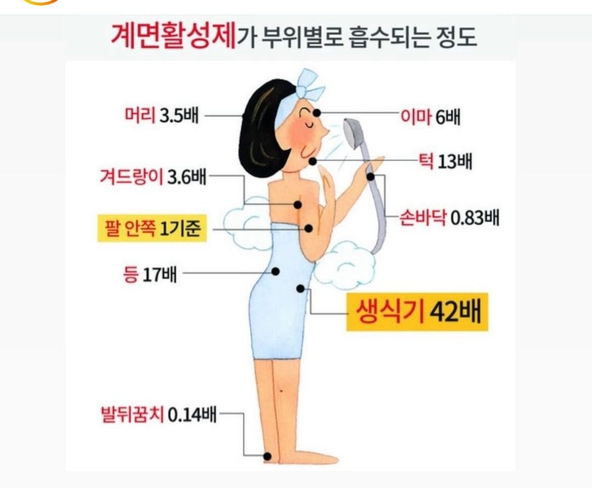 레이디스 청결제