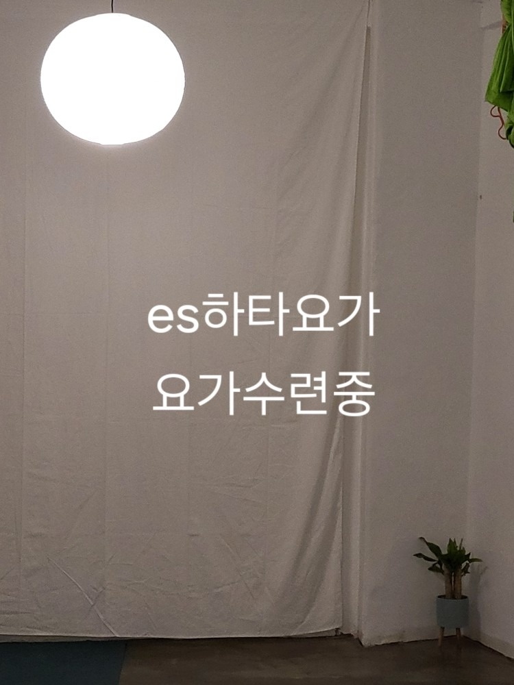 es하타요가 picture 1