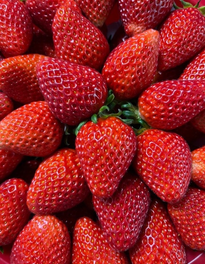 🍓첫 딸기 판매를 시작합니다‼️🍓