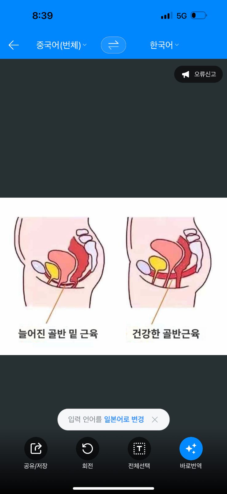 출장 산후 아로마 케어