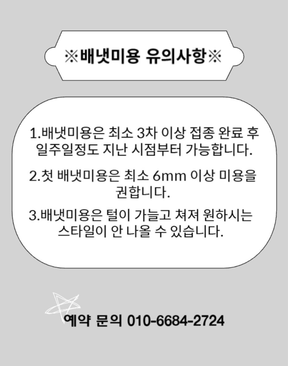 멍토피아 애견미용 picture 9