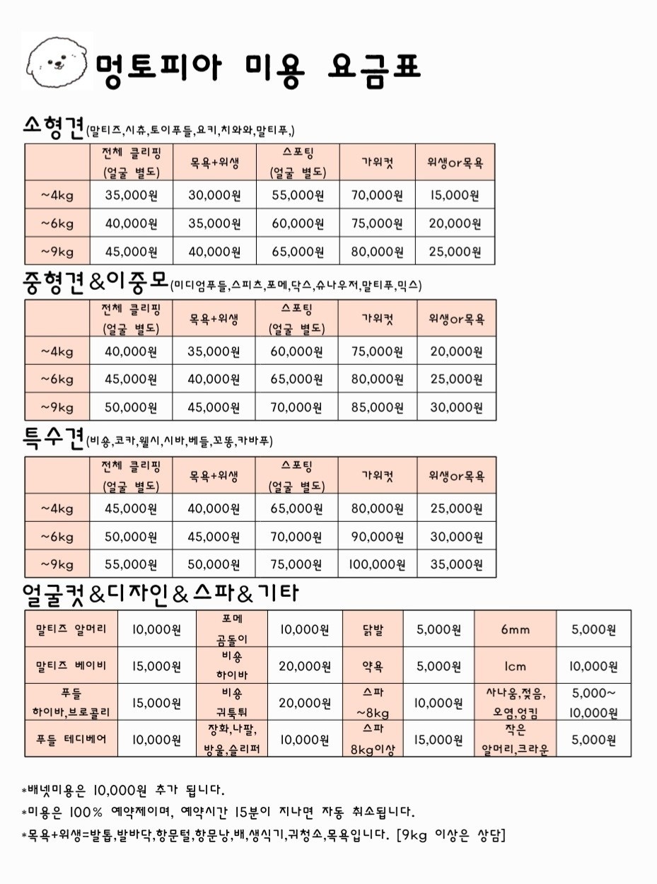 멍토피아 애견미용 picture 0