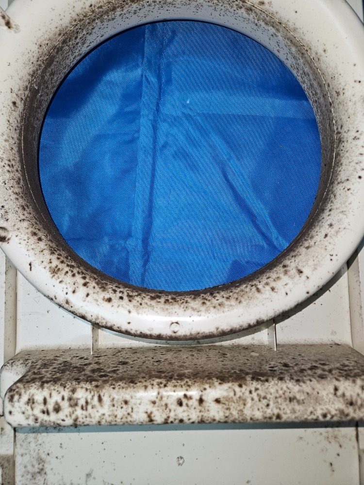 🔷🧼 📍에어컨 내부 곰팡이 이대로 두실건가요?