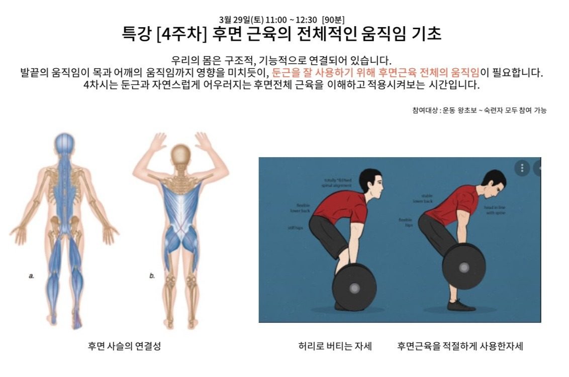4주차 특강 [후면근육]