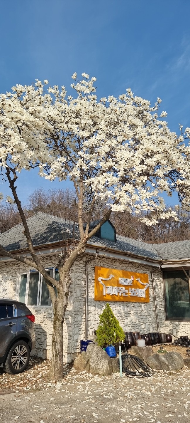 피자주는 대들보보리밥 picture 2