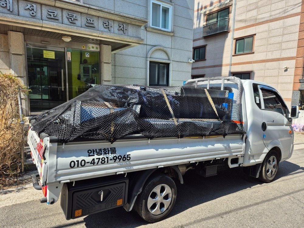 안녕화물 picture 7