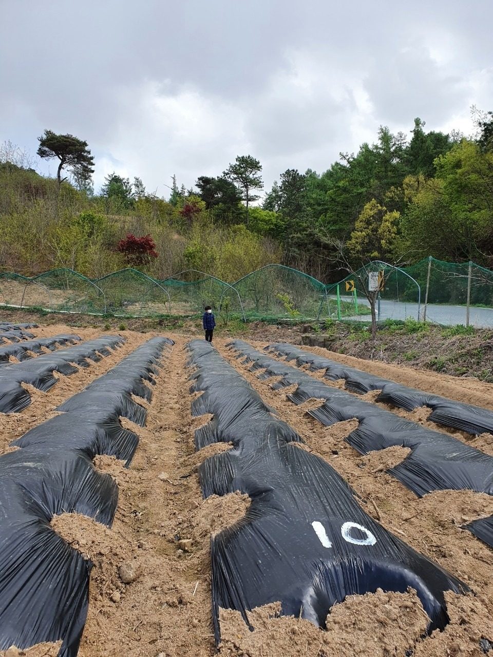 주말농장