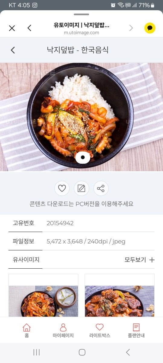 고르곤졸라 씬피자 증정