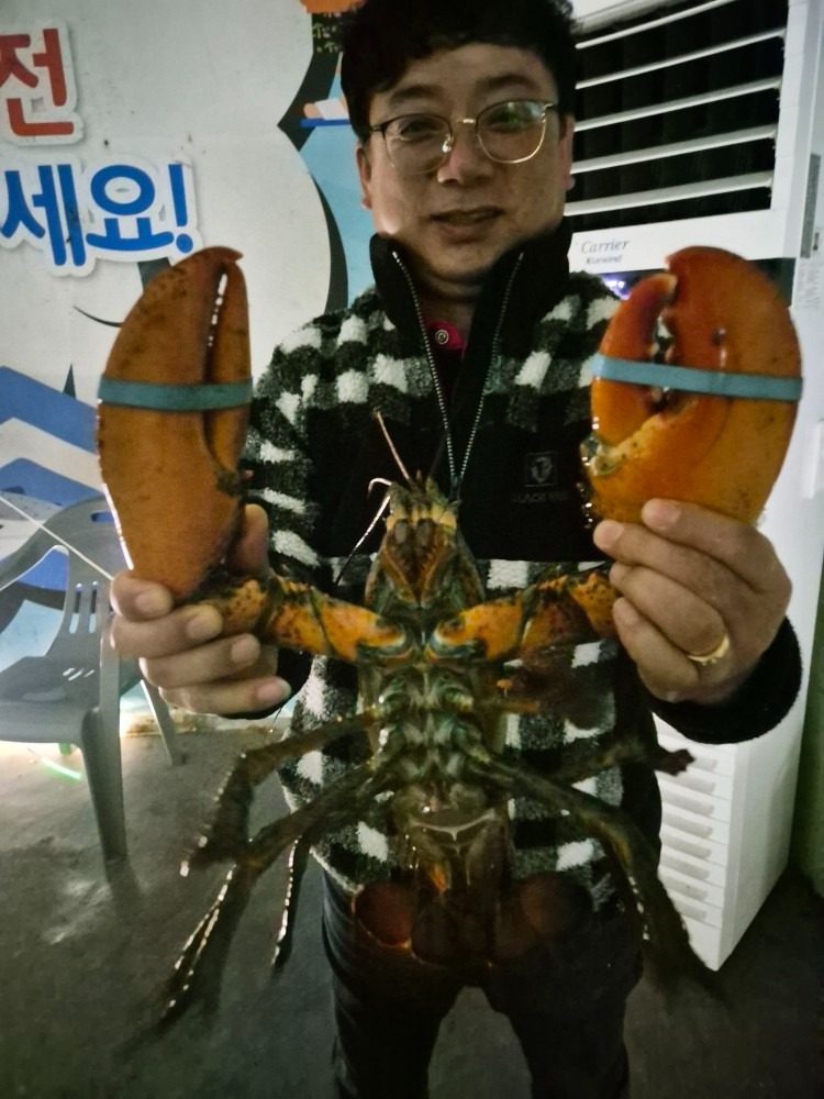 청주실내바다낚시터 21일 토요일 조황입니디