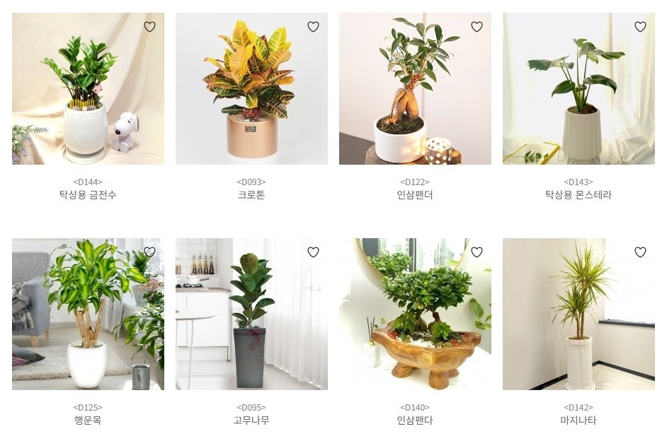 우리꽃배달 picture 3
