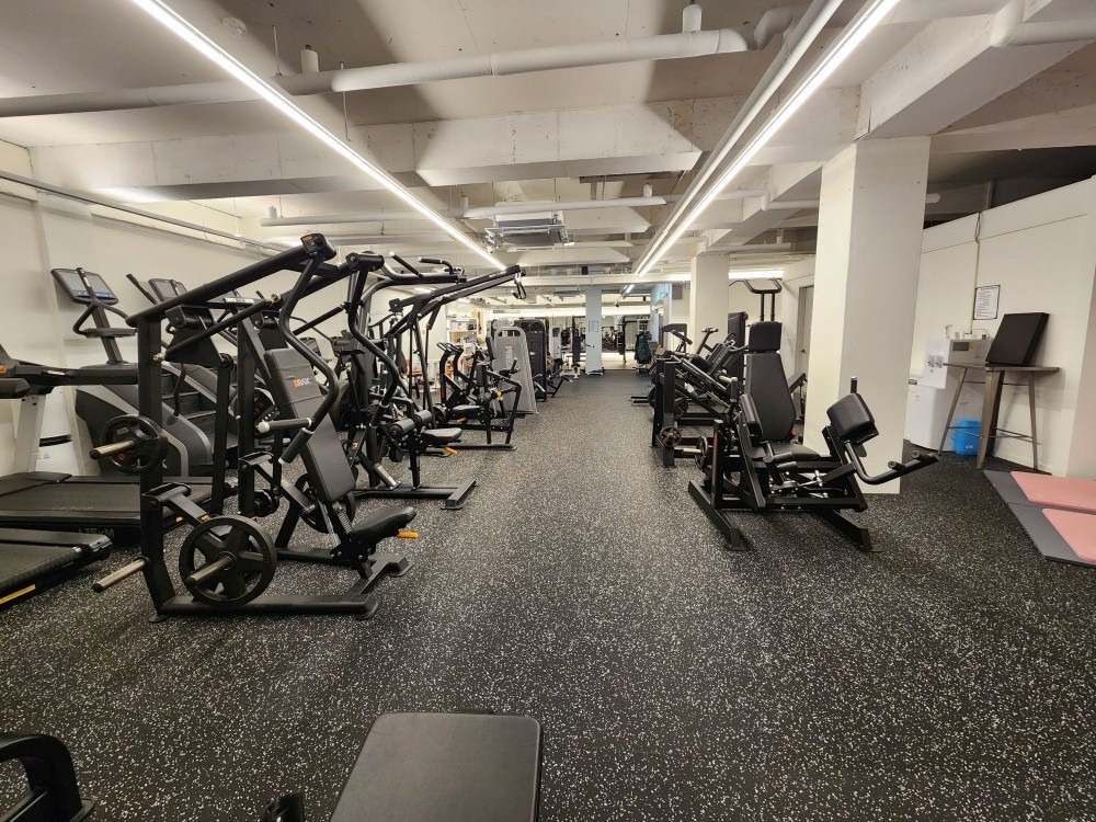 오류 PT 지금부터핏  picture 4
