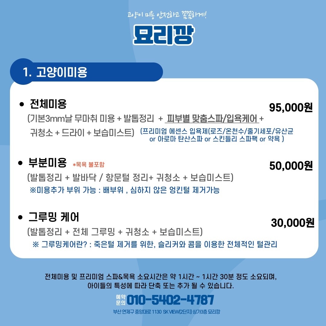 부산고양이전문미용실-묘리깡 picture 1