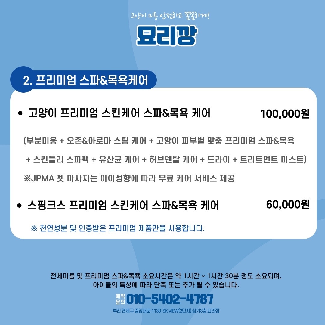 부산고양이전문미용실-묘리깡 picture 2