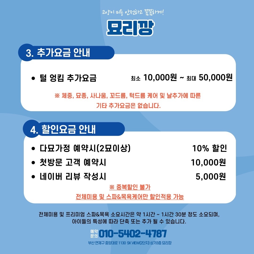 부산고양이전문미용실-묘리깡 picture 3
