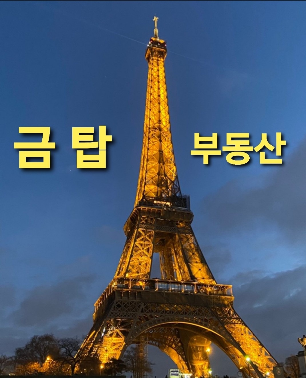 금탑부동산공인중개사사무소 picture 0