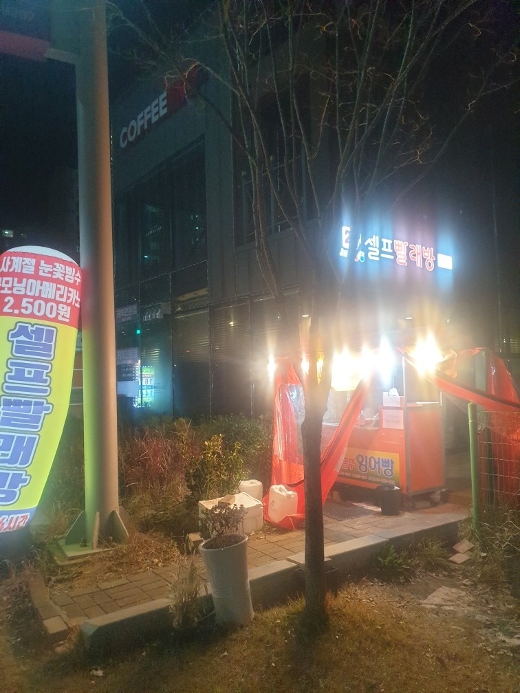 붕어빵군고구마 picture 2