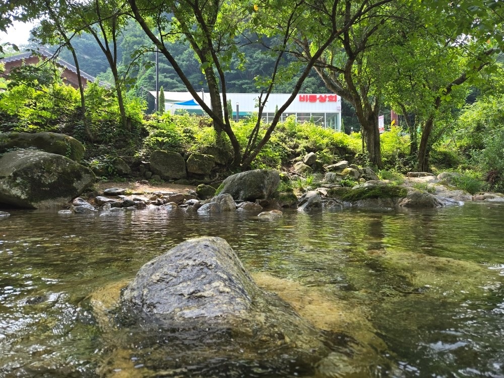 비룡상회 picture 7