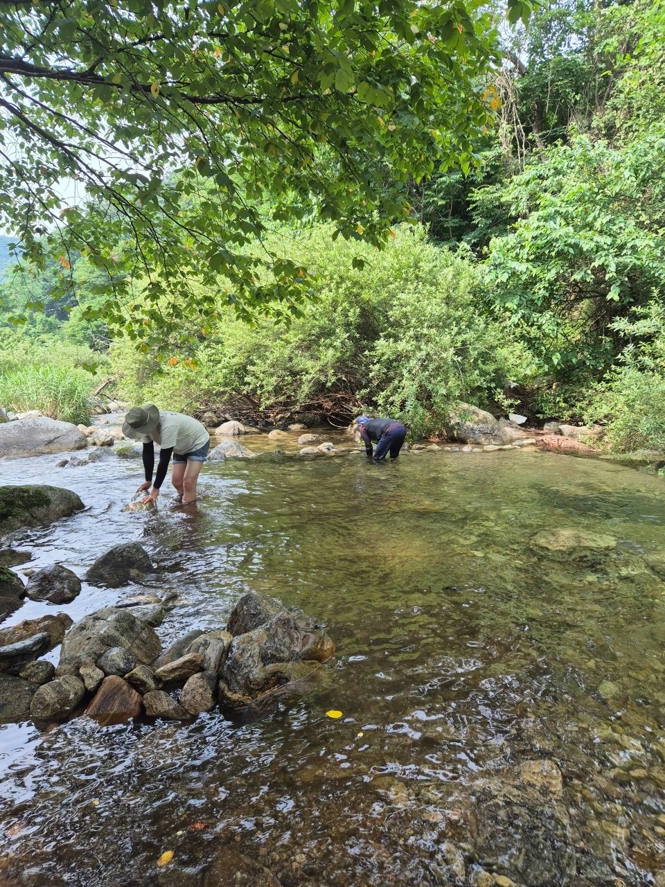 비룡상회 picture 8