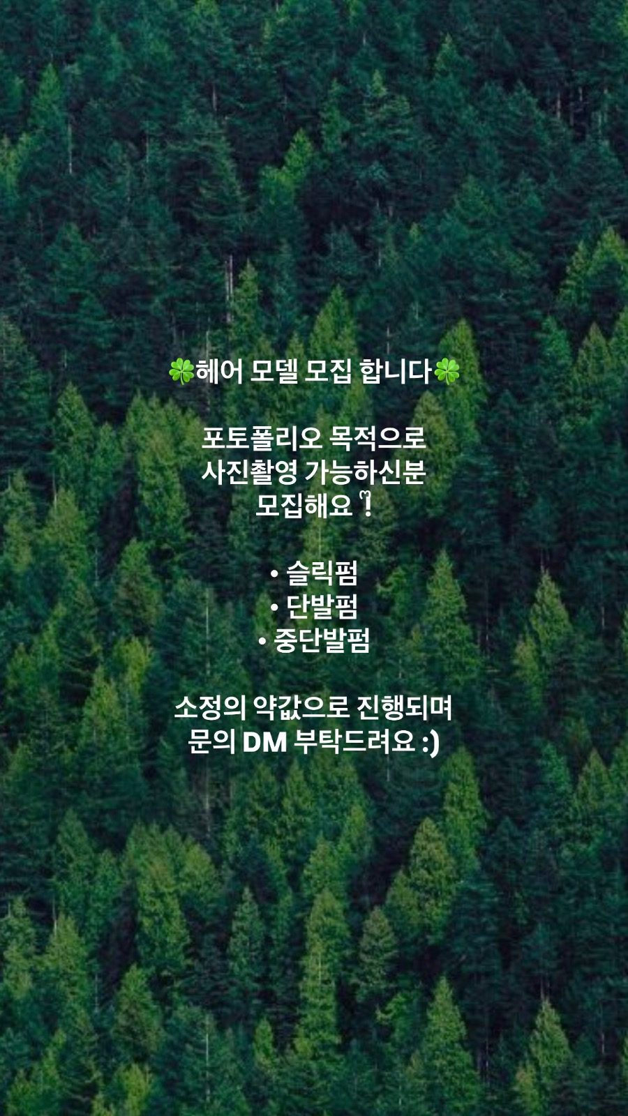 헤어모델모집