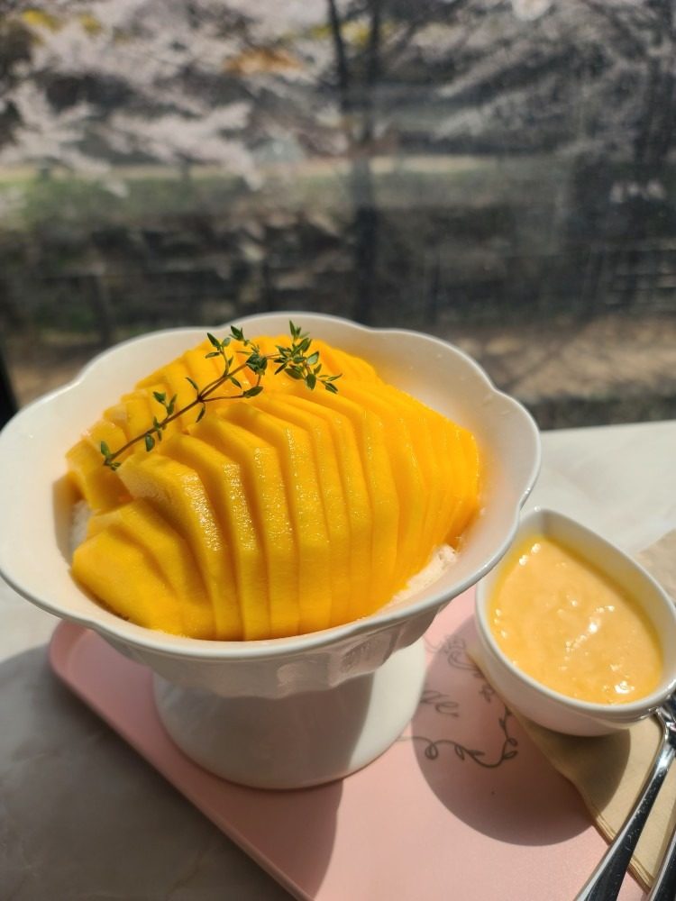 여름의 끝자락🌿 빙수 할인쿠폰!!🤩