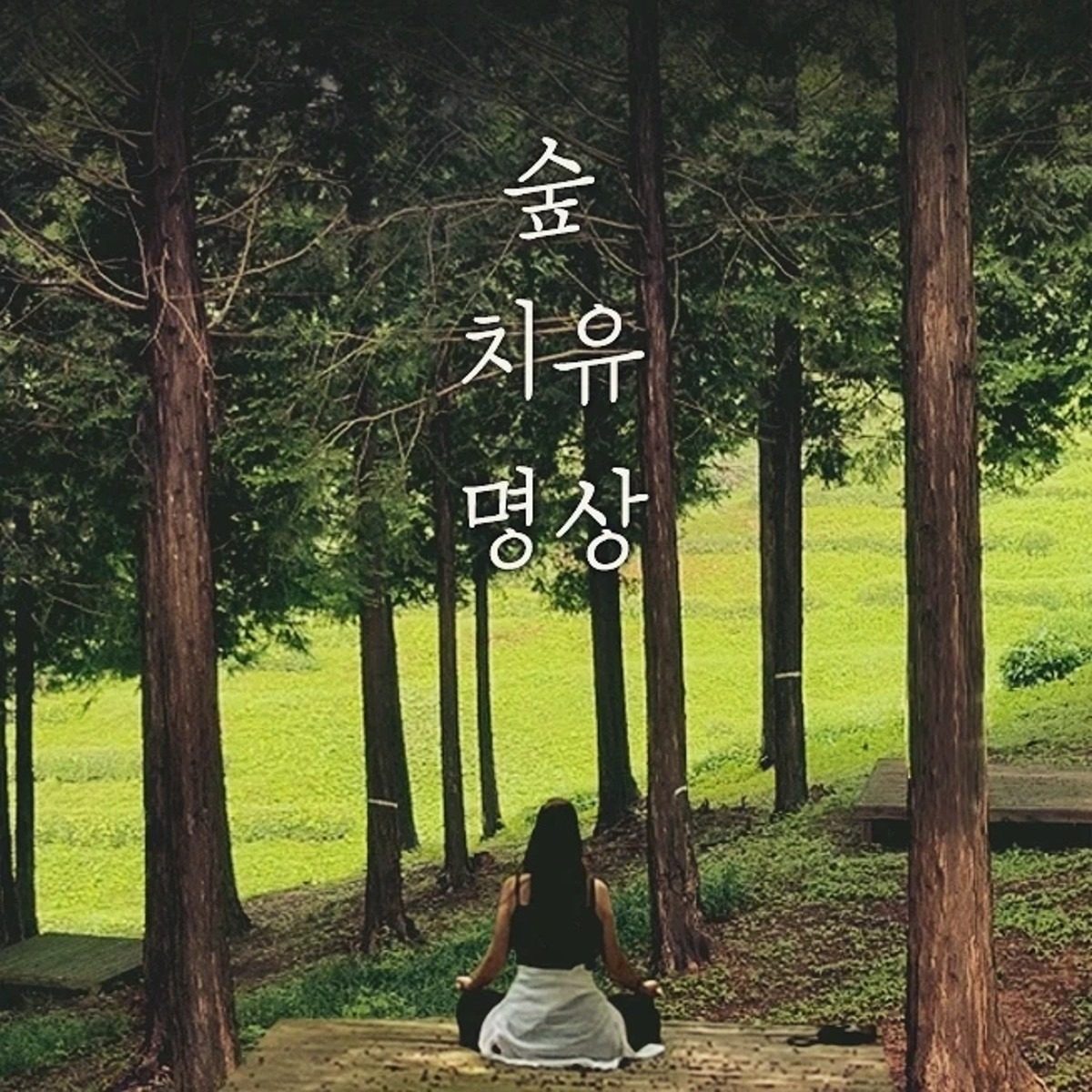 호흡법 명상법 