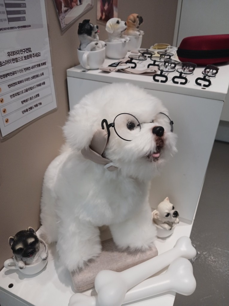글라스밤안경 옥련점 picture 3