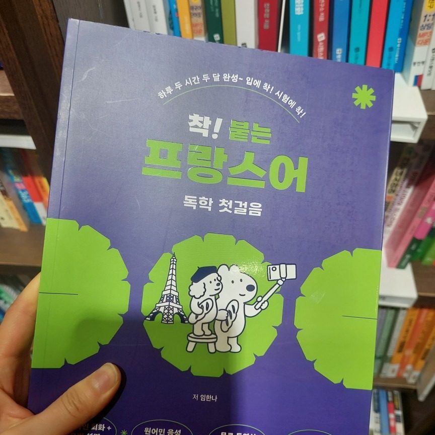 프랑스어 과외