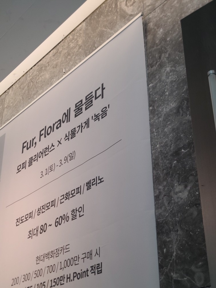식물가게녹음 picture 3
