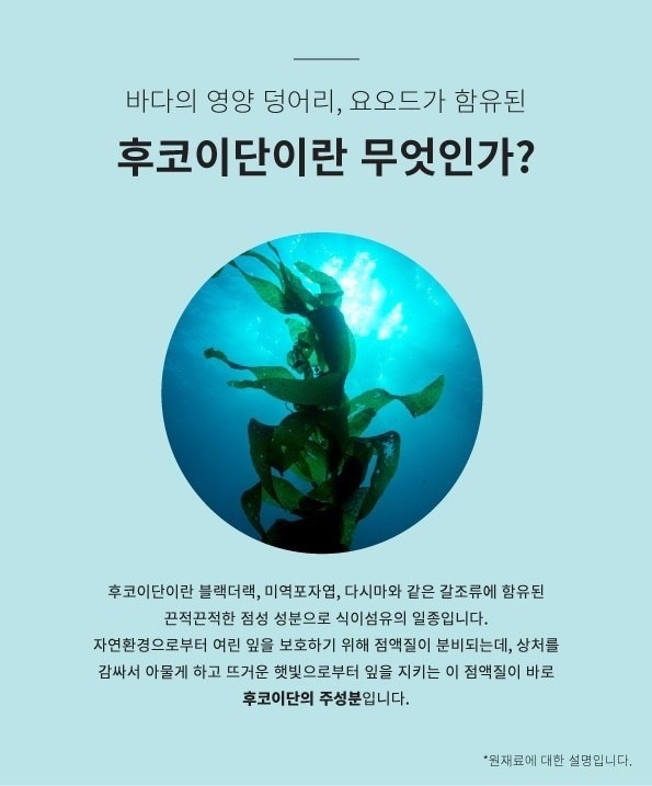 호주면세건강기능식품 직영할인점 picture 4