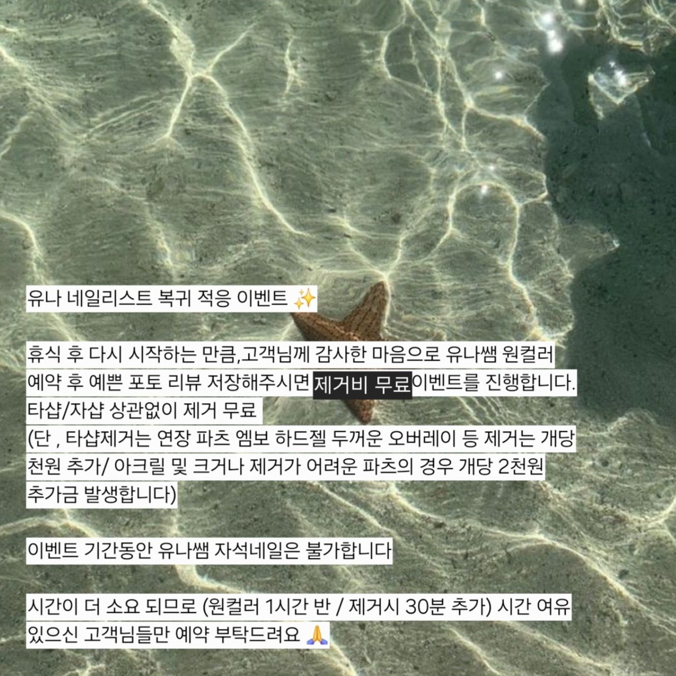 제거비 무료 유나쌤 이벤트