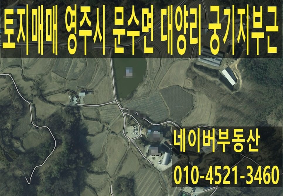 토지매매 영주시 문수면 대양리 궁기지부근