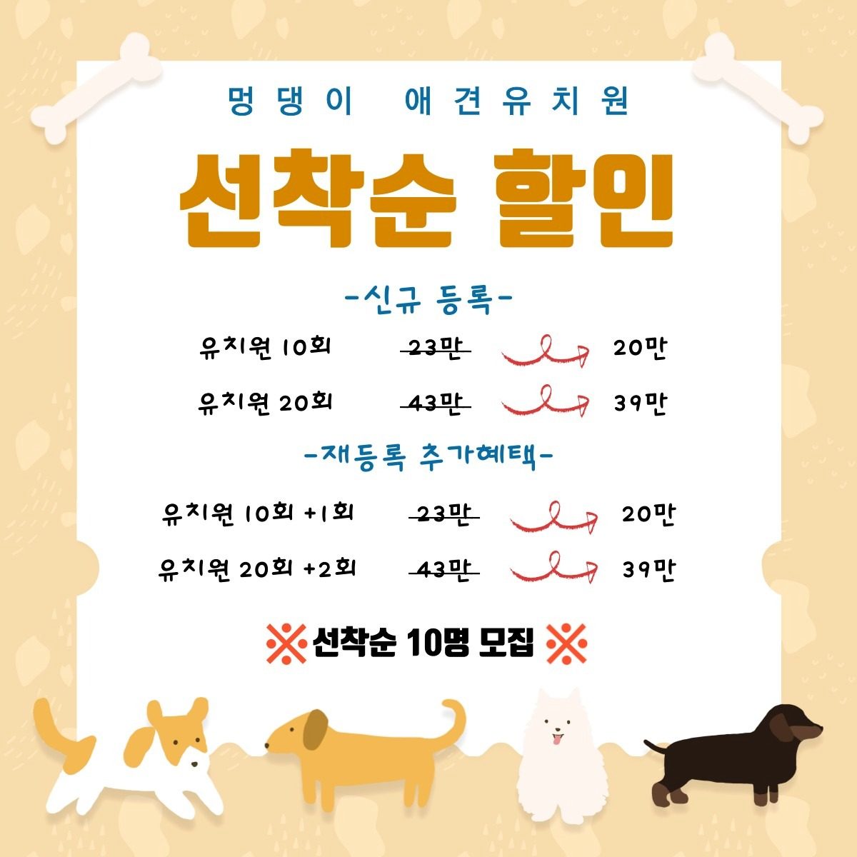 🐶광주 동구 학동 멍댕이애견유치원 & 애견호텔 🐶 선착순 할인 이벤트