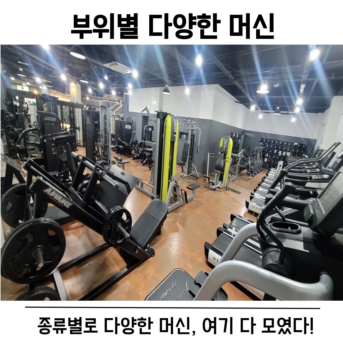 트랜스바디짐 학장점 picture 4