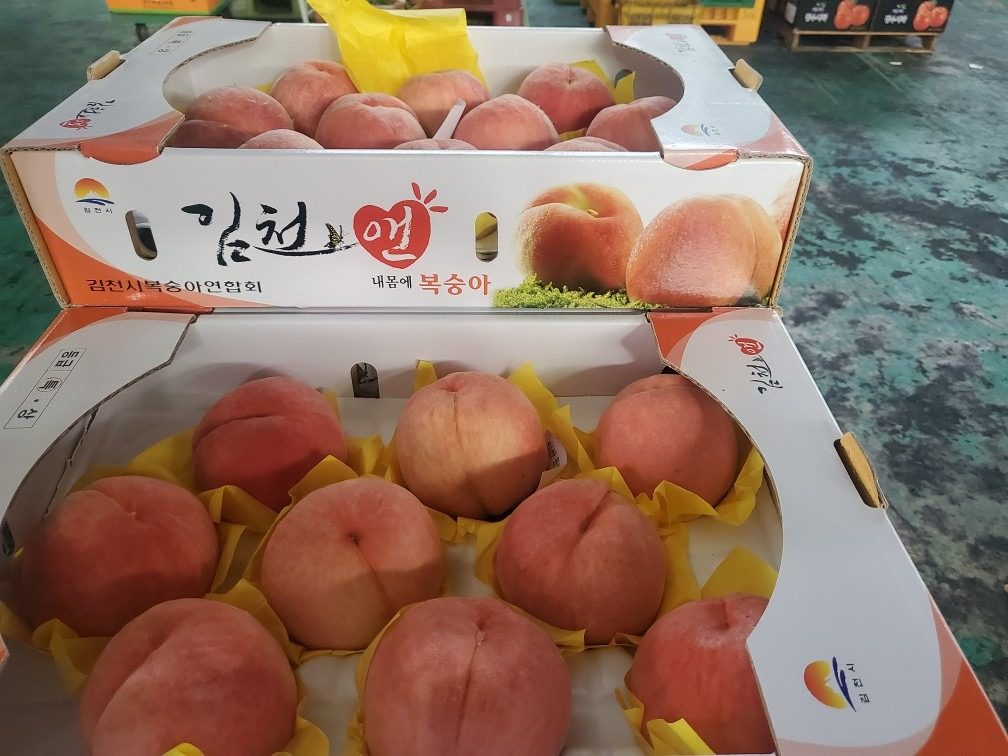 샤인머스켓 특2kg15.000원수박2통15.000원