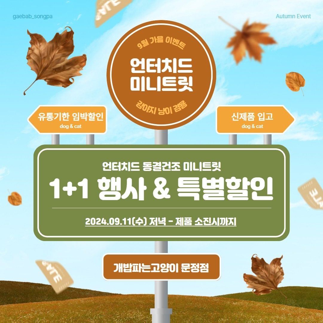 1+1 행사&신제품 입고 소식📣