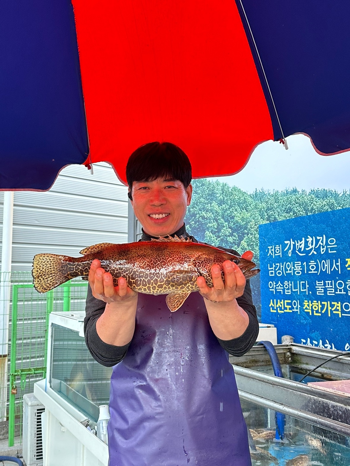 함안 강변횟집 picture 6