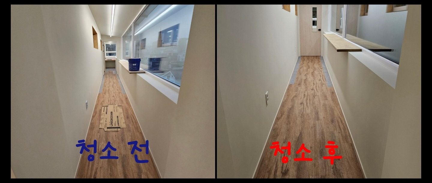 사무실 청소✨️