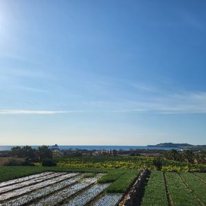 서귀포 안덕면 사계리 1.5룸 남향 정면 바다뷰 월세40