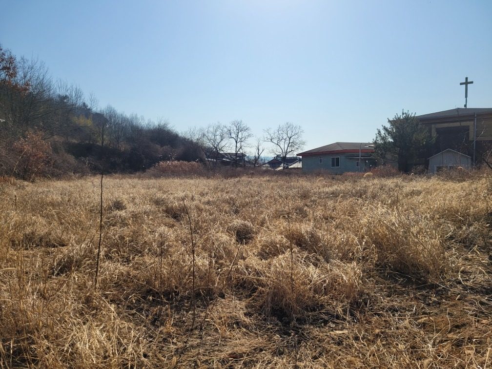 선산인근 볕좋은 전원주택지 600평대