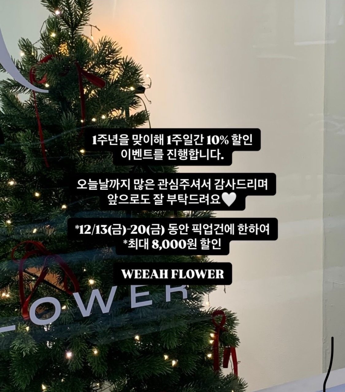 1주년 EVENT! 10%할인(12/13-20까지)