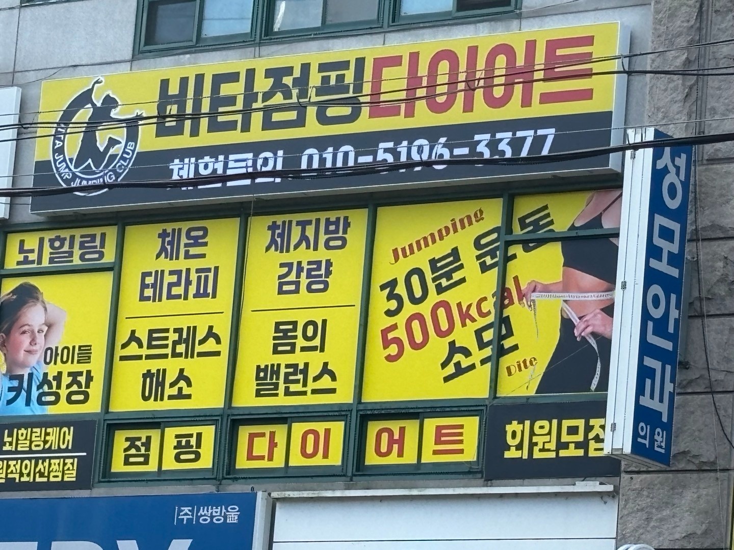 비타점핑 picture 9