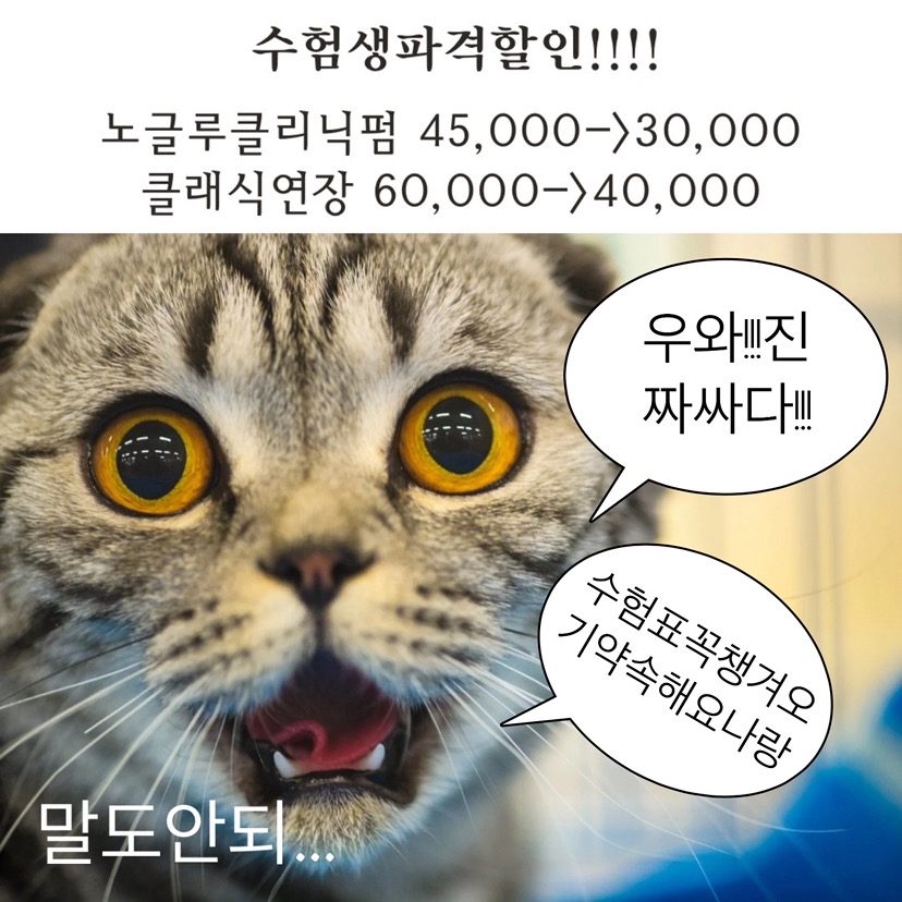 ⭐️수험생할인⭐️속펌3만원/연장4만원⭐️⭐️⭐️