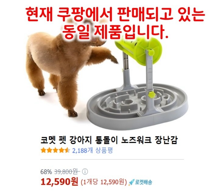 오마이댕댕이 picture 1