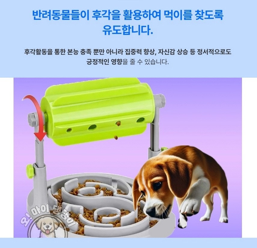 오마이댕댕이 picture 2
