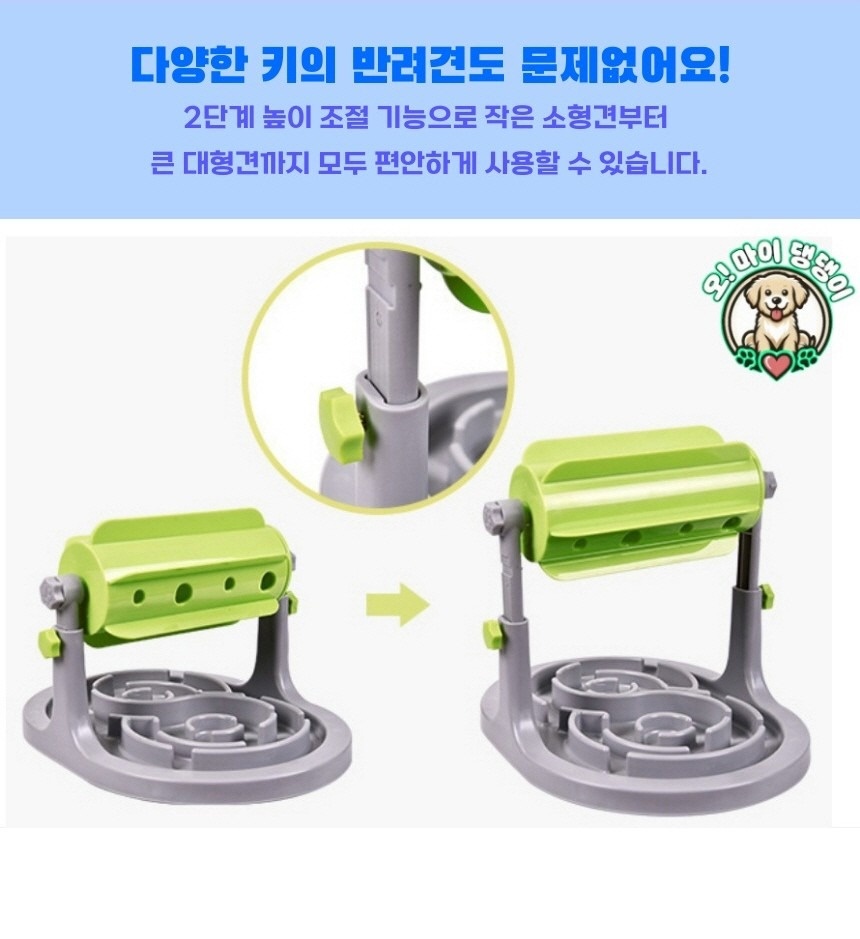 오마이댕댕이 picture 4