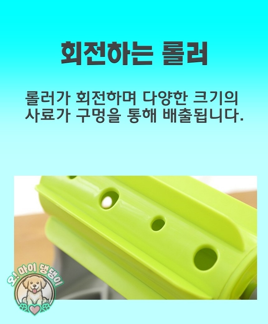 오마이댕댕이 picture 6