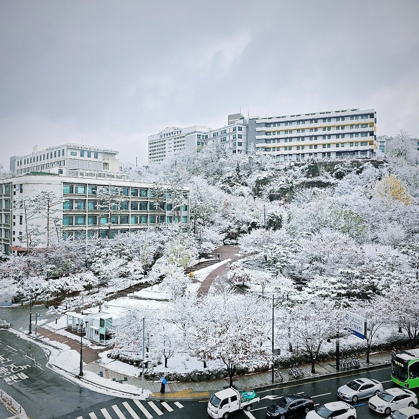 ❄️ 랭스터디카페 겨울 이벤트 ❄️