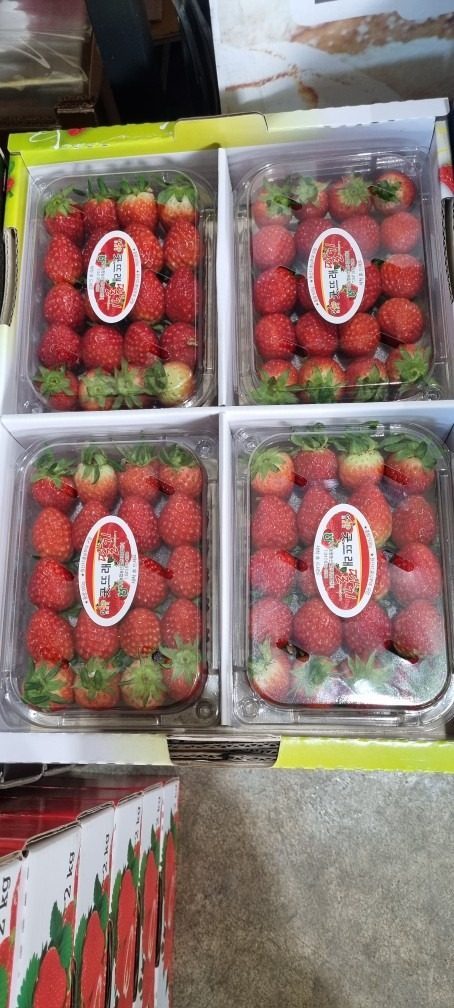 🍓딸기 4팩 2만원 세일중❣️❣️